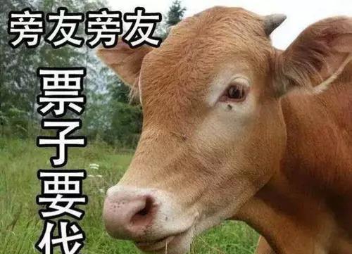 黄牛爆料娱乐圈内幕,黄牛爆料的惊人内幕大曝光